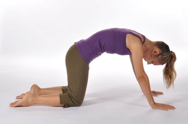 Down Dog – Prep spread shoulder blades