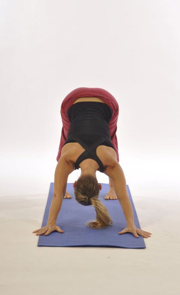 Downward Facing Dog Pose with external arm rotation – correct