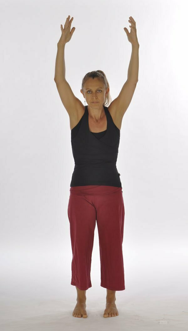 Working-with-the-shoulder-in-Yoga-postures-1
