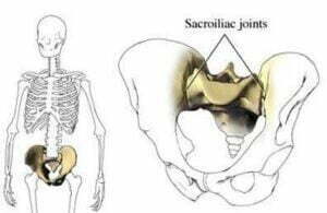 Structure of the Pelvis S/J
